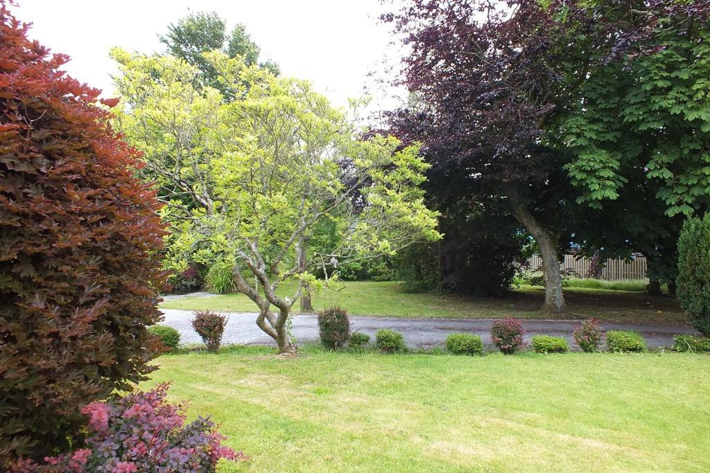 Llwyn Country House Llanelli Buitenkant foto